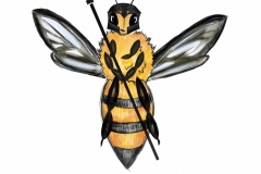 ´wächterbiene-zam