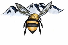 abflugbiene-zam