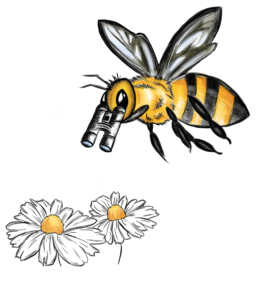 Bienenleben